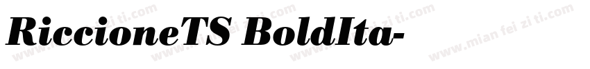 RiccioneTS BoldIta字体转换